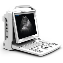 Animal Veterinary Ultrasound Black White Doppler Laptop Portable (SC-ECO3)